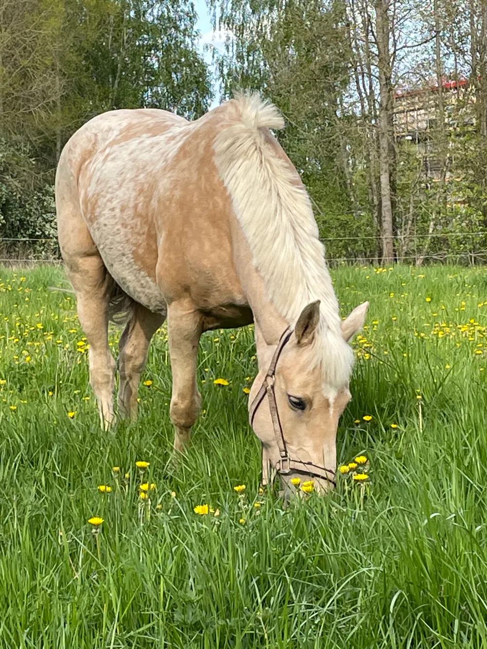 Entwicklungsnachrichten 28.05.21